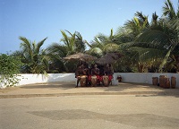 drummers perform by a low white wall in front of palm trees