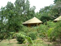 A view of Vanuatu